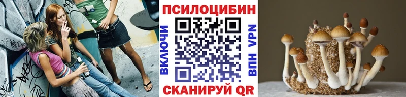 Галлюциногенные грибы мицелий  Купить  Теберда 